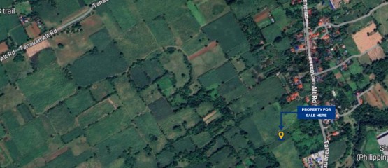 Rawland for sale in Tanauan, Batangas